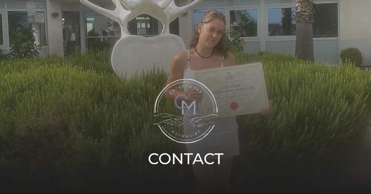 Premier contact et échange