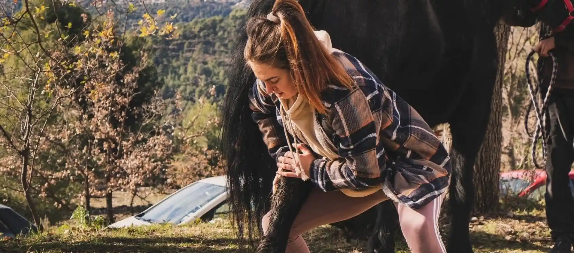 Ostéopathie animale à Sainte-Verge