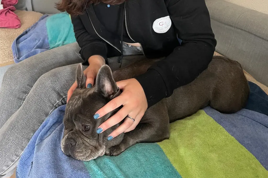 Ostéopathie animale à Nice pour les nouveau-nés